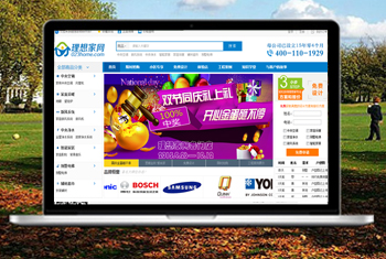 �ǿ������