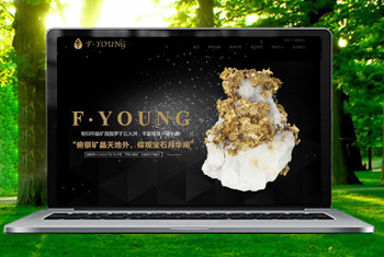 �ǿڸ������ﱦʯ